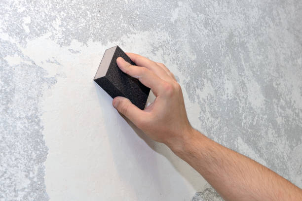 Best Commercial Mold Inspection  in Crosby, TX