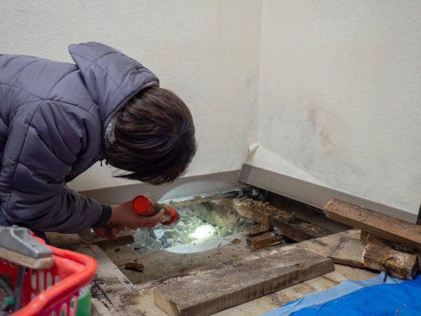 Best Indoor Air Quality Assessment  in Crosby, TX