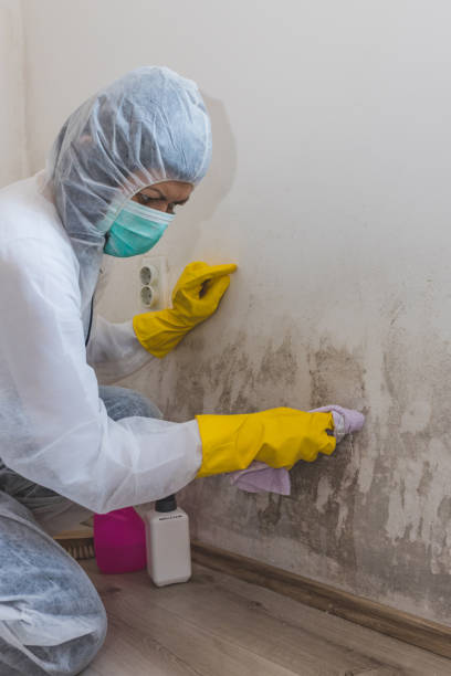 Best Mold Documentation for Insurance Claims  in Crosby, TX